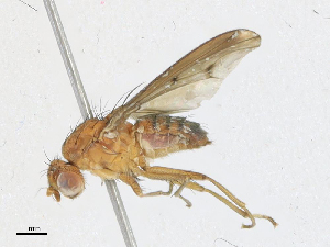  ( - CBG-A21641-A04)  @11 [ ] CreativeCommons - Attribution Share - Alike (2023) CBG Photography Group Centre for Biodiversity Genomics