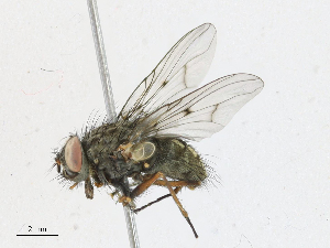  ( - CBG-A18383-A04)  @11 [ ] CreativeCommons - Attribution Share - Alike (2023) CBG Photography Group Centre for Biodiversity Genomics