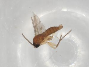  ( - BIOUG96206-E08)  @11 [ ] CreativeCommons - Attribution (2023) Centre for Biodiversity Genomics Centre for Biodiversity Genomics