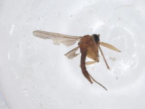  ( - CBG-A15566-F09)  @11 [ ] CreativeCommons - Attribution Share - Alike (2023) Centre for Biodiversity Genomics Centre for Biodiversity Genomics