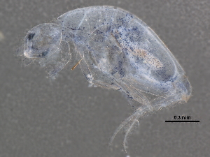 ( - BIOUG18390-H04)  @12 [ ] CreativeCommons - Attribution (2015) CBG Photography Group Centre for Biodiversity Genomics