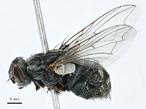  ( - BIOUG97755-F11)  @11 [ ] CreativeCommons - Attribution (2023) CBG Photography Group Centre for Biodiversity Genomics