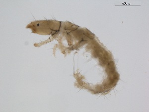  ( - BIOUG00333-F05)  @13 [ ] Unspecified (default): All Rights Reserved  Unspecified Unspecified