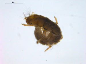  ( - BIOUG01723-B09)  @12 [ ] Unspecified (default): All Rights Reserved  Unspecified Unspecified