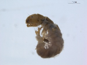  ( - BIOUG01723-D02)  @12 [ ] Unspecified (default): All Rights Reserved  Unspecified Unspecified