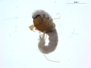  ( - BIOUG01723-G03)  @12 [ ] Unspecified (default): All Rights Reserved  Unspecified Unspecified