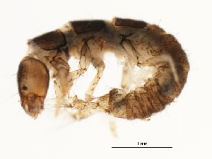  ( - BIOUG00331-E01)  @13 [ ] Unspecified (default): All Rights Reserved  Unspecified Unspecified