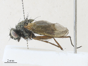  ( - CBG-A30132-D12)  @11 [ ] CreativeCommons - Attribution Share - Alike (2024) CBG Photography Group Centre for Biodiversity Genomics