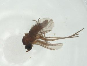  ( - CBG-A30317-D06)  @11 [ ] CreativeCommons - Attribution Share - Alike (2024) Centre for Biodiversity Genomics Centre for Biodiversity Genomics