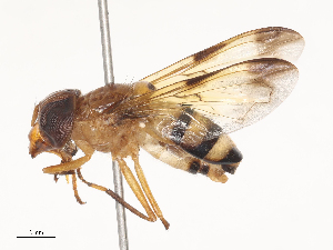  ( - CBG-A46921-E07)  @11 [ ] CreativeCommons - Attribution Share - Alike (2024) CBG Photography Group Centre for Biodiversity Genomics