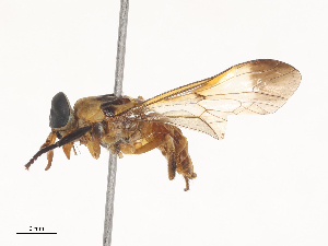  ( - CBG-A46921-G09)  @11 [ ] CreativeCommons - Attribution Share - Alike (2024) CBG Photography Group Centre for Biodiversity Genomics