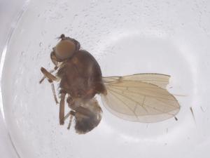  ( - CBG-A66705-C06)  @11 [ ] CreativeCommons - Attribution Share - Alike (2025) Centre for Biodiversity Genomics Centre for Biodiversity Genomics