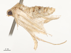  ( - CBG-A67103-B11)  @11 [ ] CreativeCommons - Attribution Share - Alike (2025) CBG Photography Group Centre for Biodiversity Genomics