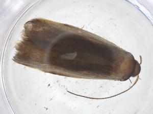  ( - CBG-A14584-H07)  @11 [ ] CreativeCommons - Attribution Share - Alike (2023) Centre for Biodiversity Genomics Centre for Biodiversity Genomics