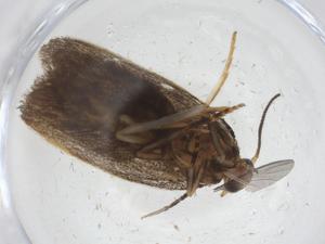  ( - CBG-A14662-E10)  @11 [ ] CreativeCommons - Attribution Share - Alike (2023) Centre for Biodiversity Genomics Centre for Biodiversity Genomics