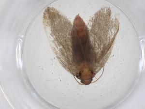  ( - CBG-A14678-C01)  @11 [ ] CreativeCommons - Attribution Share - Alike (2023) Centre for Biodiversity Genomics Centre for Biodiversity Genomics