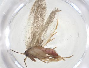  ( - CBG-A14681-G02)  @11 [ ] CreativeCommons - Attribution Share - Alike (2023) Centre for Biodiversity Genomics Centre for Biodiversity Genomics