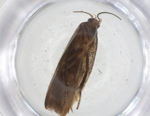  ( - CBG-A14684-D05)  @11 [ ] CreativeCommons - Attribution Share - Alike (2023) Centre for Biodiversity Genomics Centre for Biodiversity Genomics