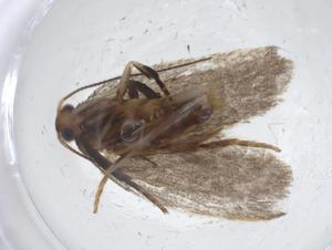  ( - CBG-A14699-D12)  @11 [ ] CreativeCommons - Attribution Share - Alike (2023) Centre for Biodiversity Genomics Centre for Biodiversity Genomics