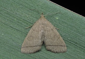  ( - IP_A251)  @11 [ ] by-nc-sa (2020) Ivica Pakrac Varazdin City Museum