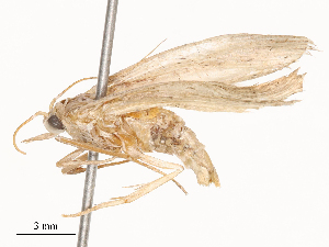  ( - CBG-B02558-E07)  @11 [ ] CreativeCommons - Attribution Share - Alike (2025) CBG Photography Group Centre for Biodiversity Genomics