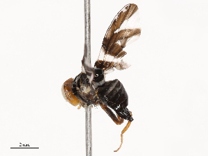  ( - CBG-B03154-B02)  @11 [ ] CreativeCommons - Attribution Share - Alike (2025) CBG Photography Group Centre for Biodiversity Genomics