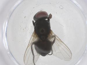  ( - CBG-B07034-E02)  @11 [ ] CreativeCommons - Attribution Share - Alike (2025) Centre for Biodiversity Genomics Centre for Biodiversity Genomics