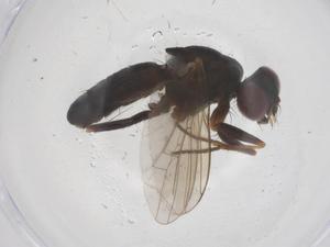  ( - CBG-B07447-E05)  @11 [ ] CreativeCommons - Attribution Share - Alike (2025) Centre for Biodiversity Genomics Centre for Biodiversity Genomics