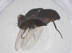  ( - CBG-B20792-D09)  @11 [ ] CreativeCommons - Attribution Share - Alike (2025) Centre for Biodiversity Genomics Centre for Biodiversity Genomics