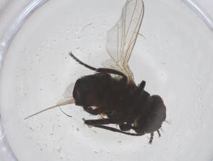  ( - CBG-B20792-F07)  @11 [ ] CreativeCommons - Attribution Share - Alike (2025) Centre for Biodiversity Genomics Centre for Biodiversity Genomics