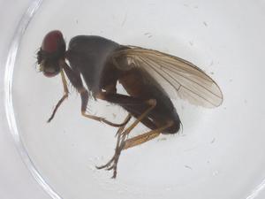  ( - CBG-B20795-C03)  @11 [ ] CreativeCommons - Attribution Share - Alike (2025) Centre for Biodiversity Genomics Centre for Biodiversity Genomics