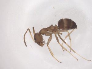  ( - CBG-B00232-F07)  @11 [ ] CreativeCommons - Attribution Share - Alike (2025) Centre for Biodiversity Genomics Centre for Biodiversity Genomics