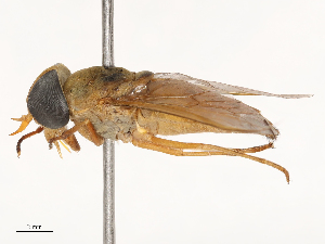  ( - CBG-B00197-F08)  @11 [ ] CreativeCommons - Attribution Share - Alike (2025) CBG Photography Group Centre for Biodiversity Genomics