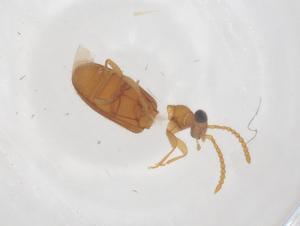  ( - CBG-B01884-F03)  @11 [ ] CreativeCommons - Attribution Share - Alike (2025) Centre for Biodiversity Genomics Centre for Biodiversity Genomics