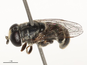  ( - CBG-B02542-E09)  @11 [ ] CreativeCommons - Attribution Share - Alike (2025) CBG Photography Group Centre for Biodiversity Genomics