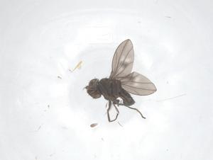  ( - CBG-B23672-E12)  @11 [ ] CreativeCommons - Attribution Share - Alike (2025) Centre for Biodiversity Genomics Centre for Biodiversity Genomics