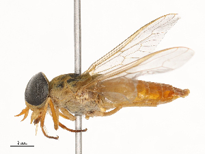  ( - CBG-B04467-E07)  @11 [ ] CreativeCommons - Attribution Share - Alike (2025) CBG Photography Group Centre for Biodiversity Genomics