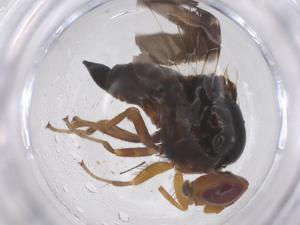  ( - CBG-B05168-E12)  @11 [ ] CreativeCommons - Attribution Share - Alike (2025) Centre for Biodiversity Genomics Centre for Biodiversity Genomics