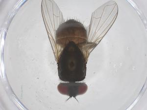  ( - CBG-B20115-F06)  @11 [ ] CreativeCommons - Attribution Share - Alike (2025) Centre for Biodiversity Genomics Centre for Biodiversity Genomics