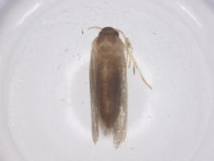  ( - CBG-B22311-F02)  @11 [ ] CreativeCommons - Attribution Share - Alike (2025) Centre for Biodiversity Genomics Centre for Biodiversity Genomics