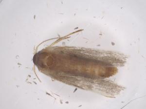  ( - CBG-B22395-C05)  @11 [ ] CreativeCommons - Attribution Share - Alike (2025) Centre for Biodiversity Genomics Centre for Biodiversity Genomics