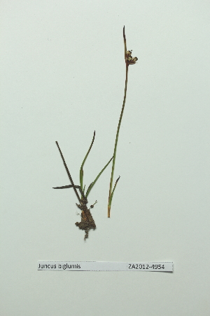  ( - ZA2012-4954)  @11 [ ] Copyright (2013) Tomas Roslin University of Helsinki