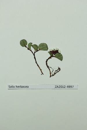  ( - ZA2012-4997)  @11 [ ] Copyright (2013) Tomas Roslin University of Helsinki