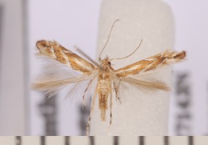  ( - CLV2228)  @13 [ ] Copyright (2011) David C. Lees Unspecified