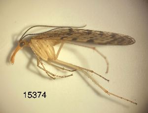  ( - ATBI000015374)  @11 [ ] by (2023) Unspecified Discover Life in America