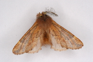  ( - CCDB-04645 C06)  @13 [ ] Unspecified (default): All Rights Reserved  Unspecified Unspecified