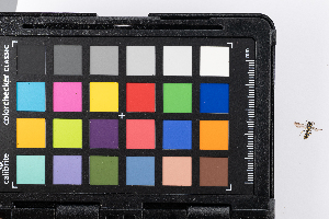  ( - GUAN-PN-76)  @11 [ ] Copyright (c) (2325) Javier Freytes University of Puerto Rico