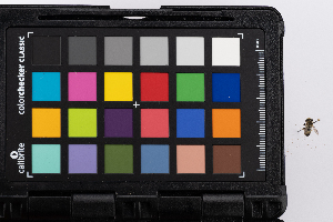  ( - GUAN-PN-78)  @11 [ ] Copyright (c) (2333) Javier Freytes University of Puerto Rico