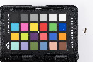  ( - GUAN-PN-79)  @11 [ ] Copyright (c) (2337) Javier Freytes University of Puerto Rico