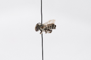  ( - GUAN-PN-79)  @11 [ ] Copyright (c) (2339) Javier Freytes University of Puerto Rico